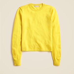 J.Crew Carolyn fitted crewneck sweater in merino wool XS